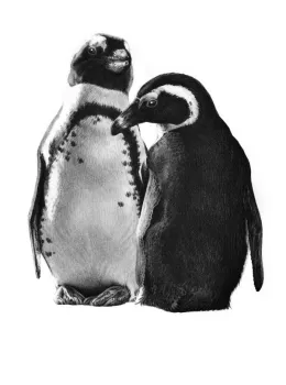 Just The Two Of Us - Penguins - Mounted