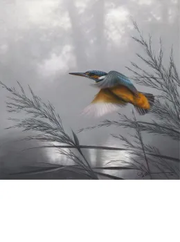 Taking Flight - Kingfisher - Original - Framed