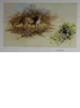 Leopards - Dark Wood Framed