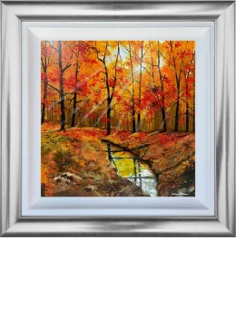 Looking On The Bright Side - Original - Framed Box Canvas