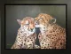 Love Cheat - Black Framed - Framed Box Canvas