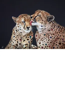 Love Cheat - Box Canvas
