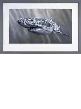 Lurking Around - Grey Framed