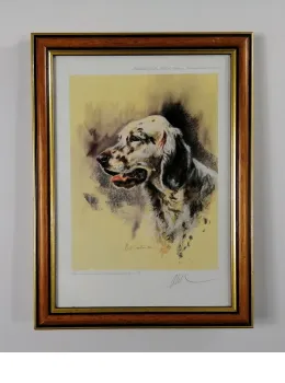 Majestic (English Setter) - Brown Framed