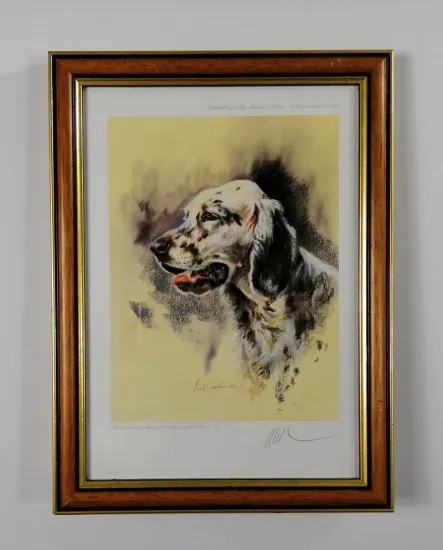Majestic (English Setter) - Brown Framed