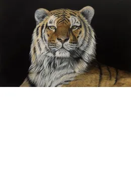 Majesty - Box Canvas