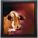 Martha - Framed Box Canvas