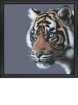 Mesmerised - Limited Edition - Black Framed - Framed Box Canvas