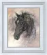 Midnight - White Framed