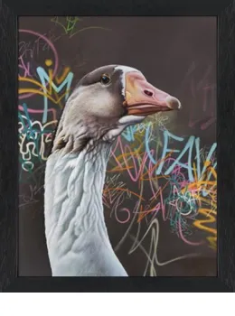 Monty - Framed Box Canvas