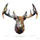 My Deer Graffiti Stag Head (White Background) - Large - Black Framed