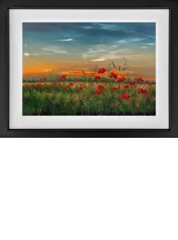 Never Forget - Limited Edition - Black Framed