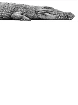 Nile Crocodile - Mounted