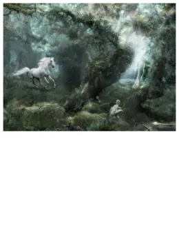 Not All Who Wander Are Lost - Large - Framed - Mounted