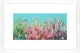 Ornamental Paradise - Limited Edition - White Framed