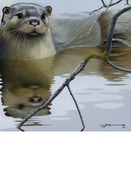 Otter - British Wildlife Series - Original - Framed