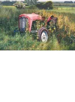 Out To Grass - Mounted