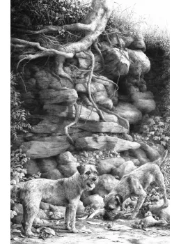 Overlooked - Print