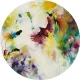 Paradise (Birds Of Paradise) - Small - Mounted