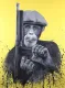Peaky Primate - Mounted