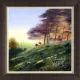 Poised On The Edge Of Forever - Framed