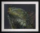 Pop - Black Framed
