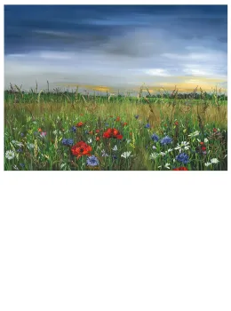 Poppy Dawn - Limited Edition - Board Only