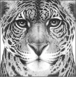 Power - Print