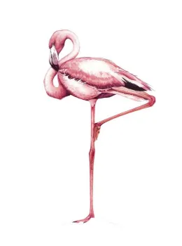 Pretty In Pink - Small - Print