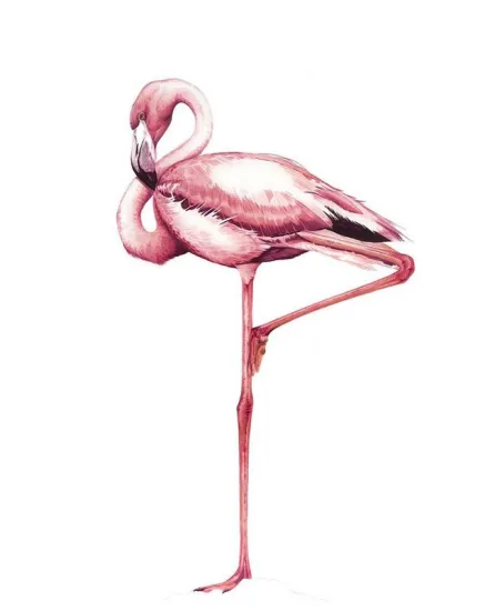 Pretty In Pink