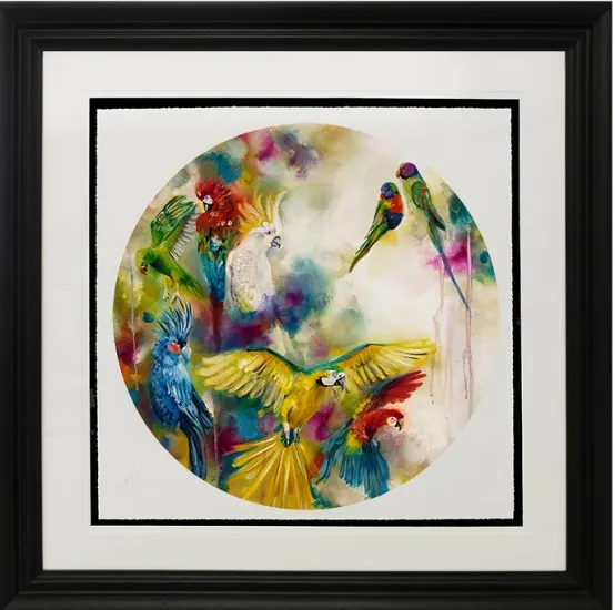 Pretty Polly (Parrots & Parakeets) - Small