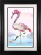 Punk Flamingos - Black Framed