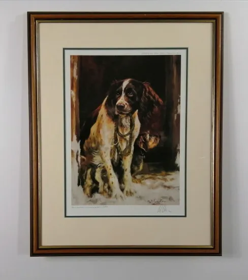 Ready (Springer Spaniel) - Brown Framed