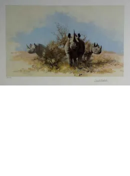 Rhino - Dark Wood Framed