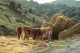 Road To Morella - Box Canvas