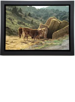 Road to Morella - Framed Box Canvas