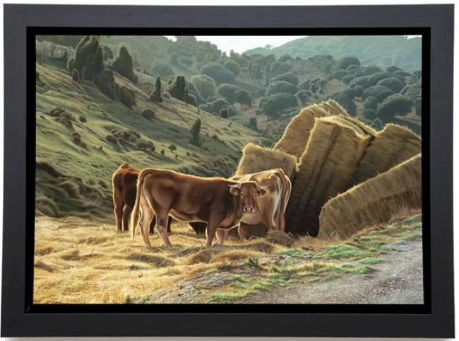 Road To Morella - Box Canvas