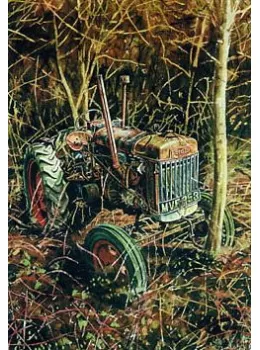 Robins Fordson - Print