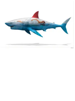 Safe To Swim - Regular Size - White - Framed