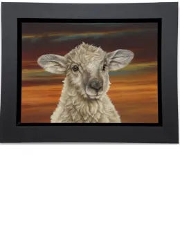 Shepherds Delight - Framed Box Canvas