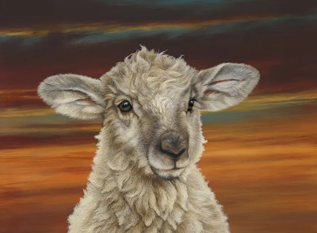 Shepherds Delight - Mounted