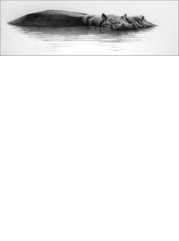Shimmer - Print