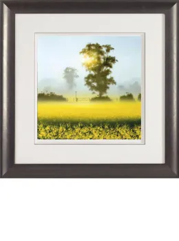 Shining Through - Framed