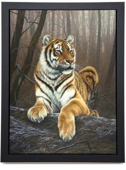 Siberian Grandeur - Framed Box Canvas