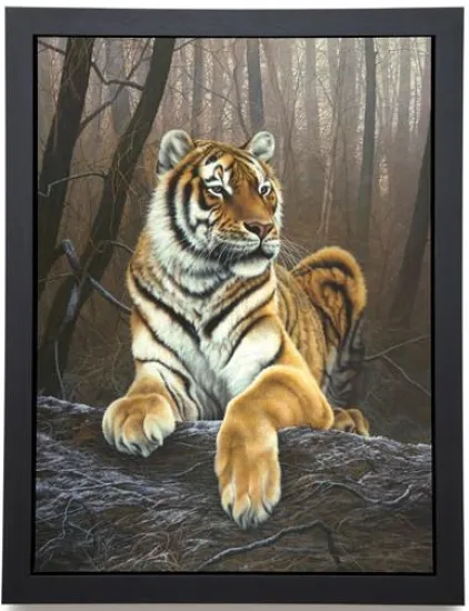 Siberian Grandeur - Box Canvas