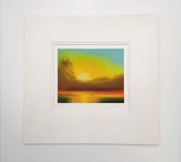 Skylight Shared - Mounted