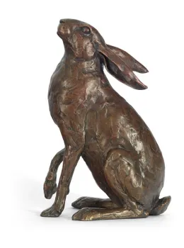 Skywatcher - Bronze