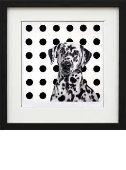 Spot The Dog - Framed