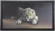 Spotted - Canvas - Framed - Framed Box Canvas