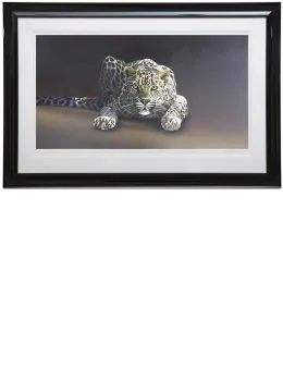 Spotted - Framed